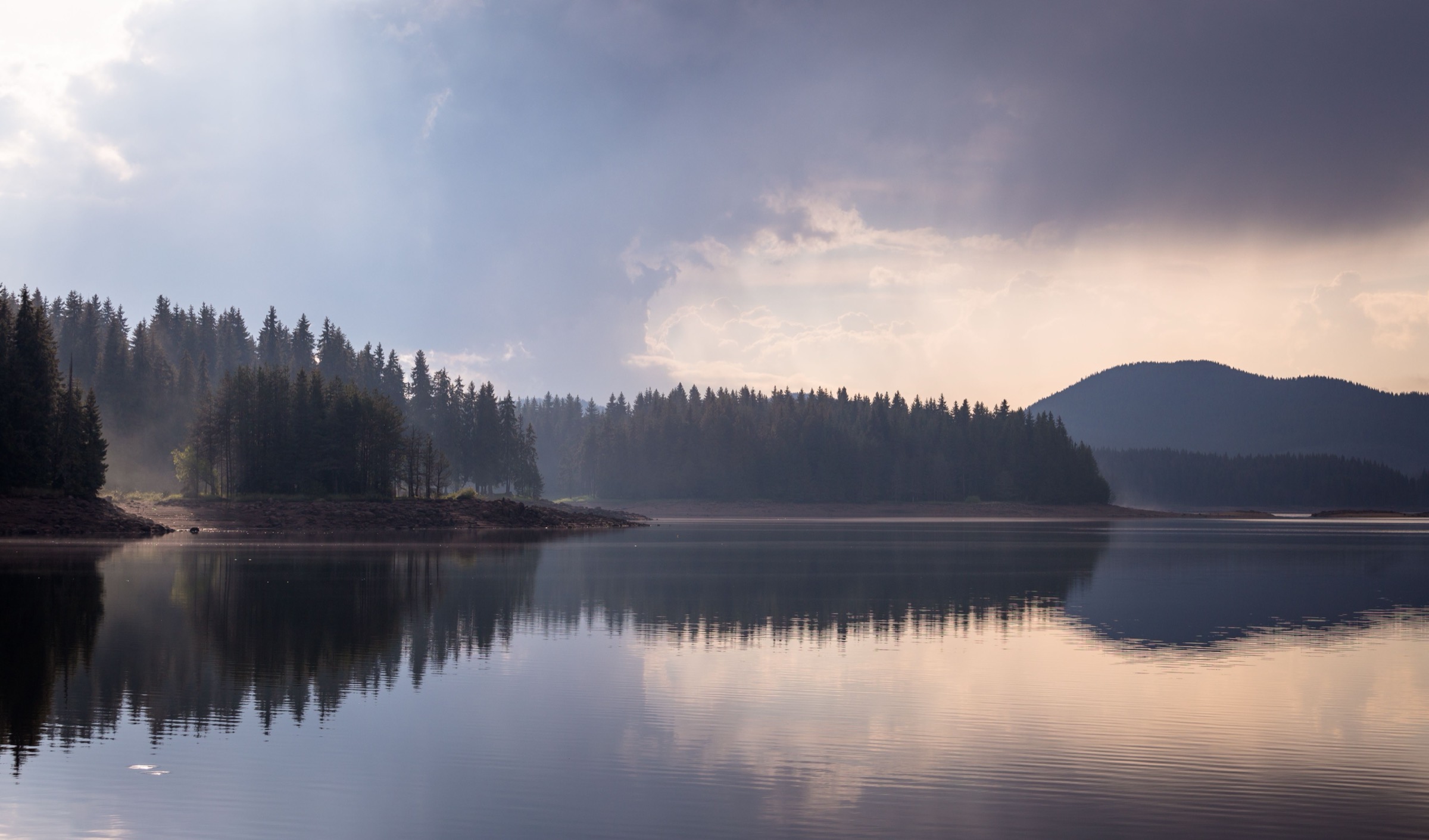A still lake at dawn with evergreens along the far shore