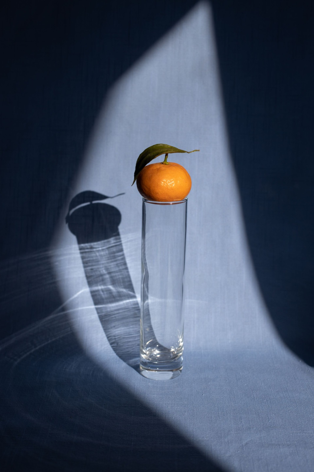 A single mandarin resting on a slim glass vase in a shaft of daylight